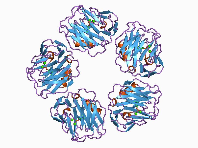 Clinical Biomarkers